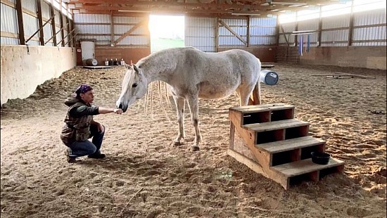 mini-demo at waelti horse farm, 08/13/22