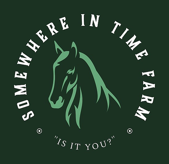 Positive Reinforcement Mini-Workshop at Somewhere In Time Farm