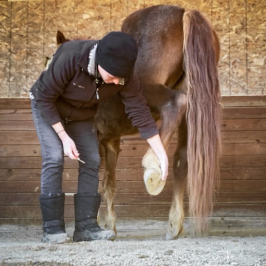 Baby B had her feet trimmed