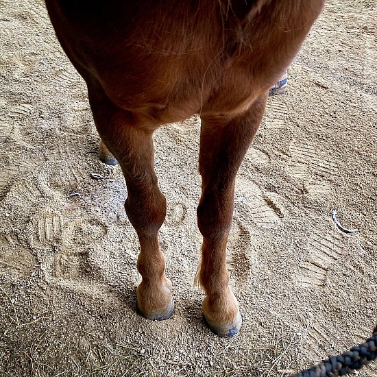 Another trim for Brandi