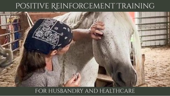 positive reinforcement training for husbandry and healthcare
