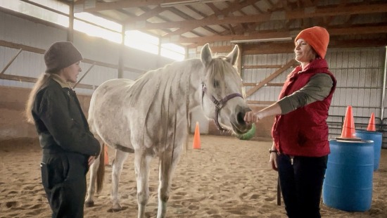 lessons with my horses