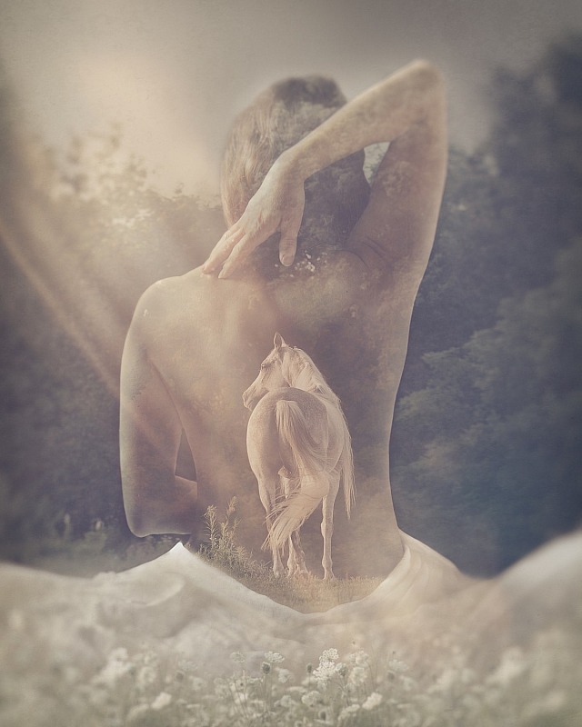 ShortHorse Studios: images beyond imagination